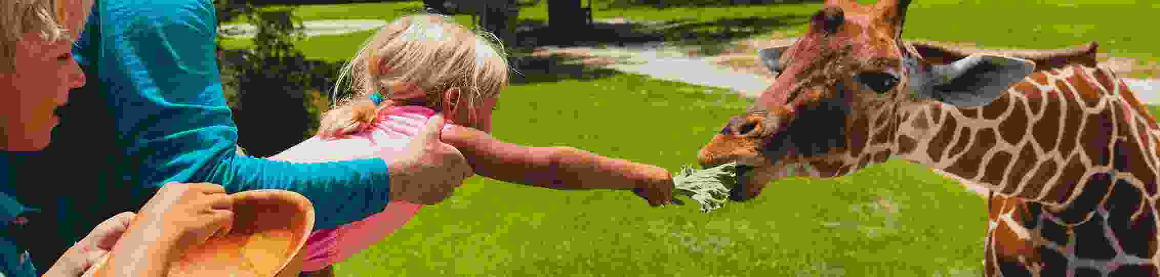 www.enjoy.com